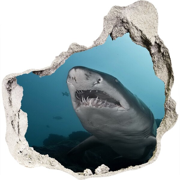 Hole wall sticker Shark in the underwater world