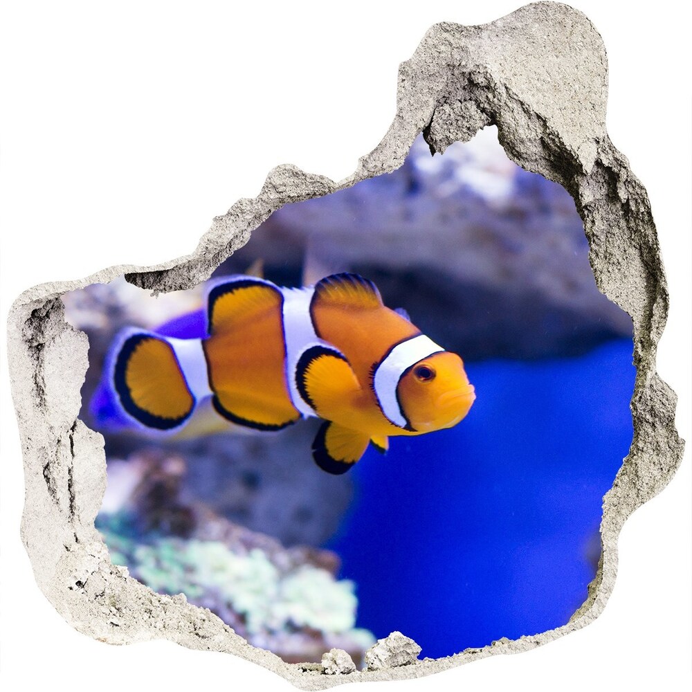 Hole wall sticker Coral reef clowns