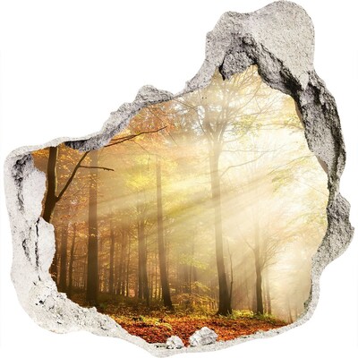 Hole wall sticker Golden forest in the sun's rays