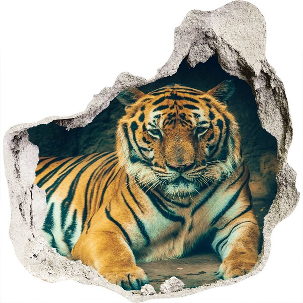 3D wall hole wallpaper Tiger in a cave