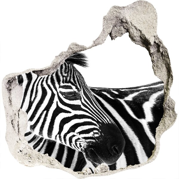 Hole in the wall decal Zebra in a hole in the wall