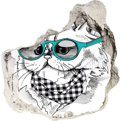 Hole in the wall decal Stylish cat with glasses