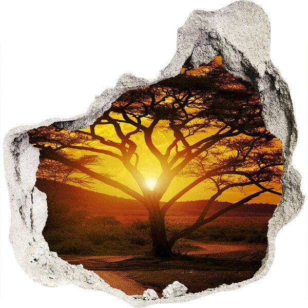 3D wall hole wallpaper Sunset in the African savannah