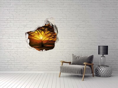 3D wall hole wallpaper Sunset in the African savannah