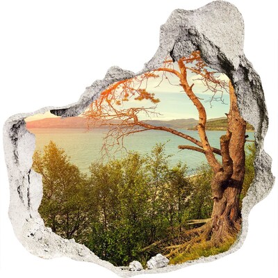 3D wall hole wallpaper View of the lake with a tree