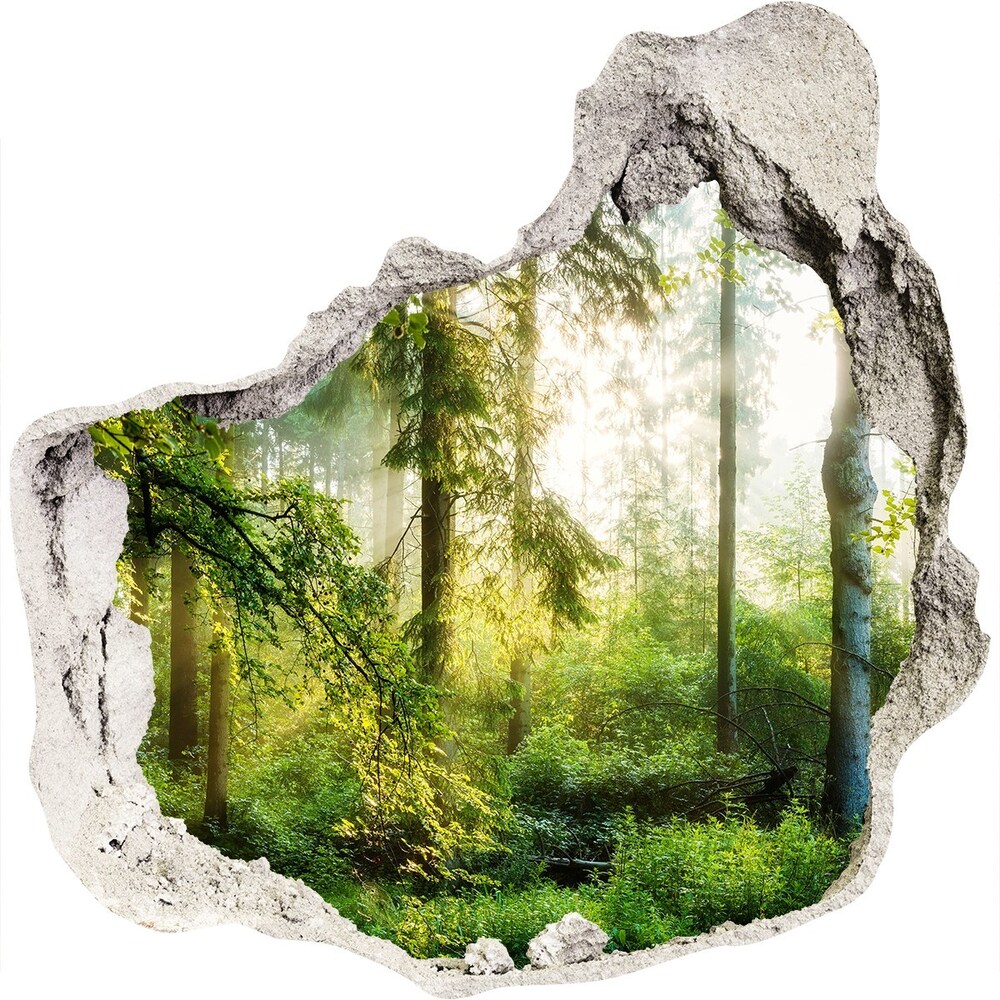 Hole in the wall decal Morning sun forest