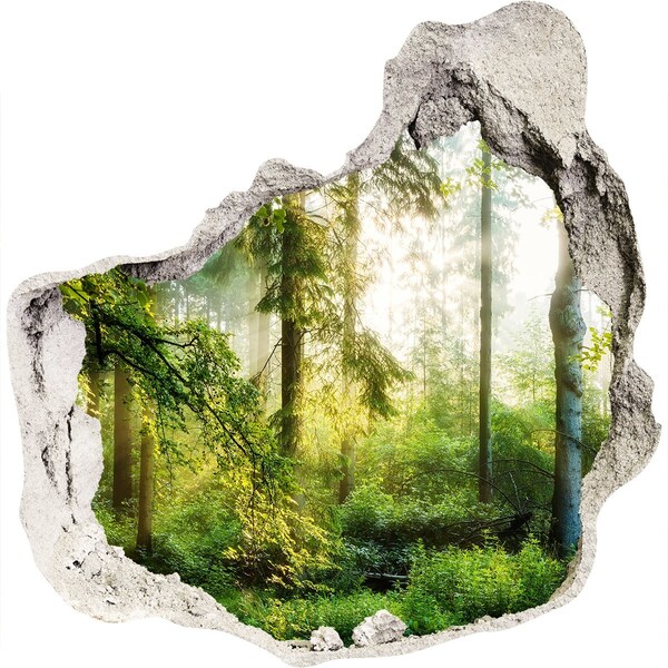 Hole in the wall decal A forest oasis of peace