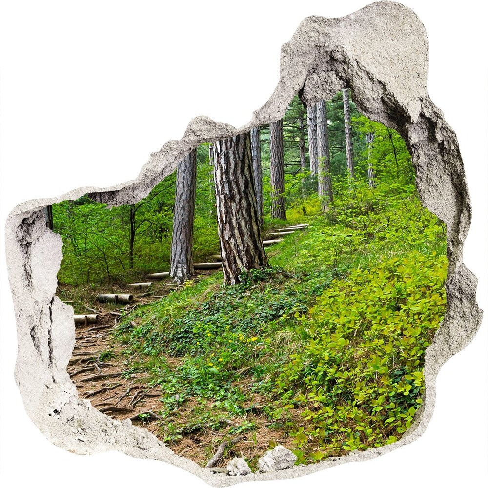 Hole wall sticker Forest track