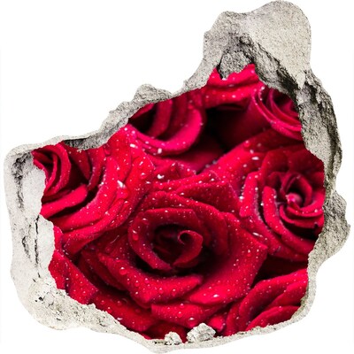 3D wall hole Drops on roses