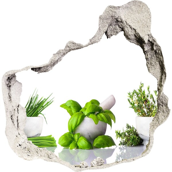 3D wall hole Green garden with herbs