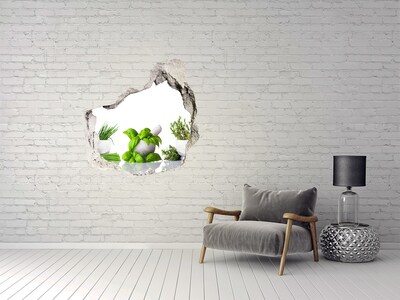3D wall hole Green garden with herbs