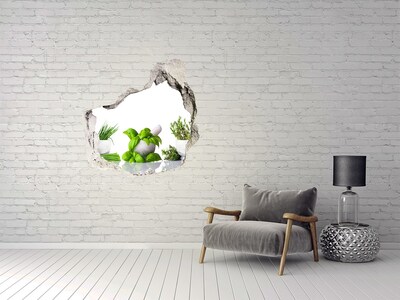 3D wall hole Herbs