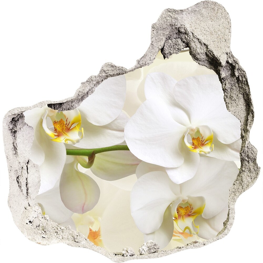 Hole wall sticker Orchid