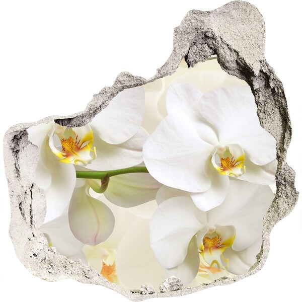 Hole wall sticker Orchids in concrete