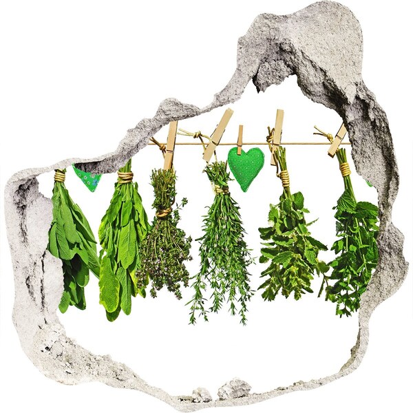 Hole in the wall sticker Herbs on a string