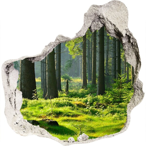 3D wall hole wallpaper Green forest in the sun's rays
