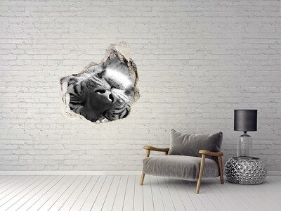 3D wall hole wallpaper The face of the tiger