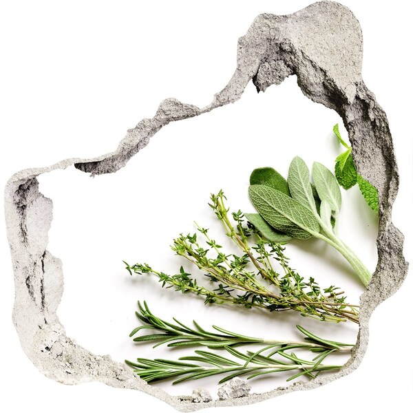 Hole in the wall decal Herb garden in concrete