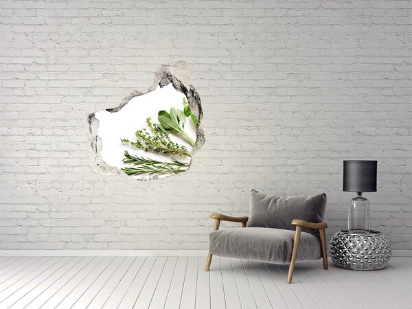 Hole in the wall decal Herb garden in concrete