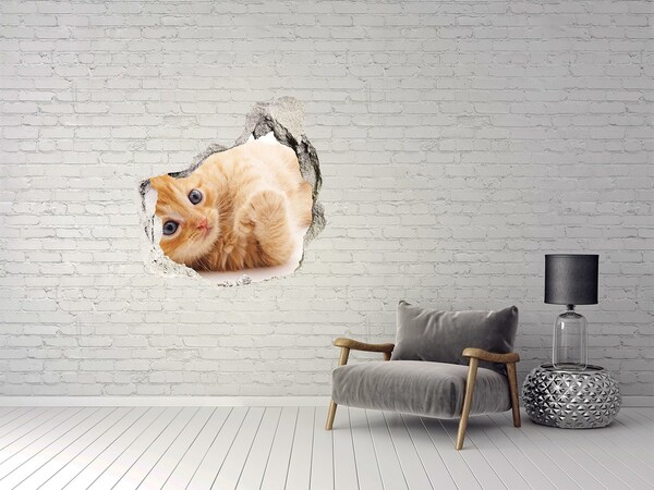 Hole in the wall sticker Red Cat