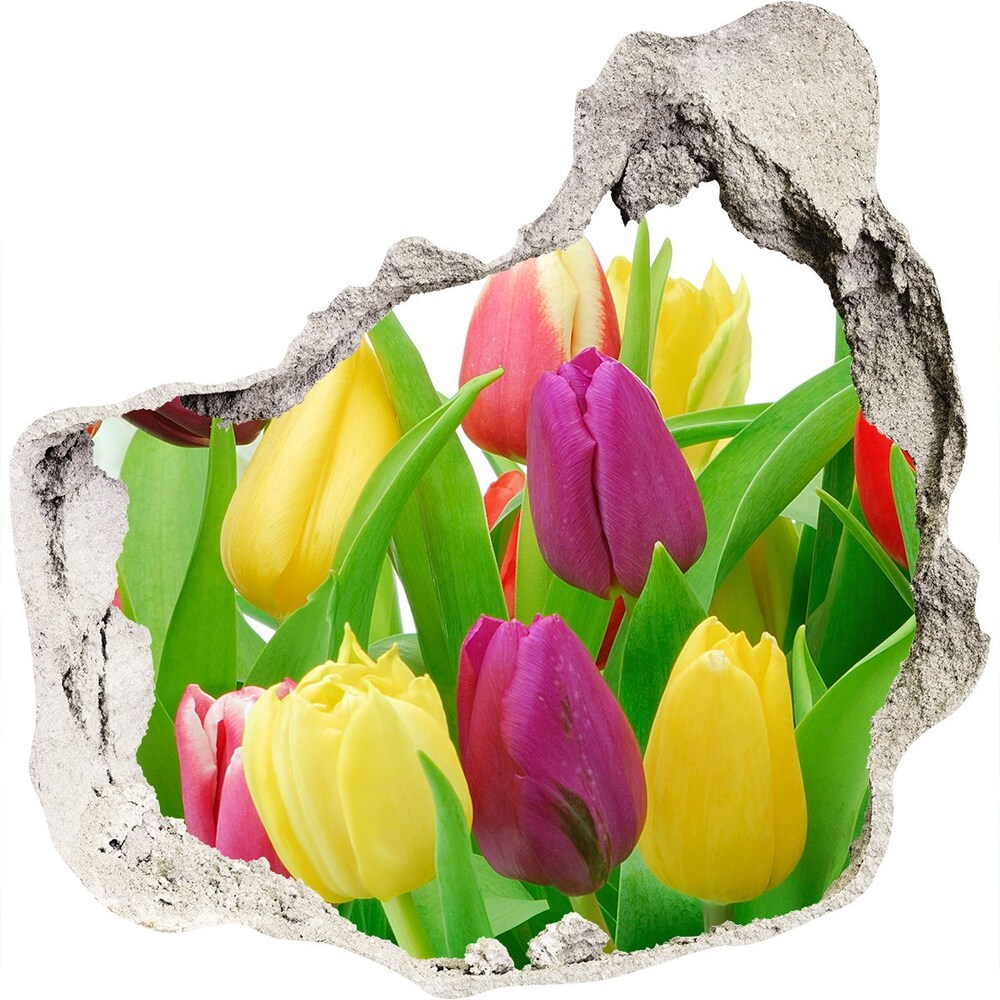 Hole wall sticker Colorful tulips