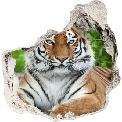 Hole in the wall decal Tiger in its natural habitat