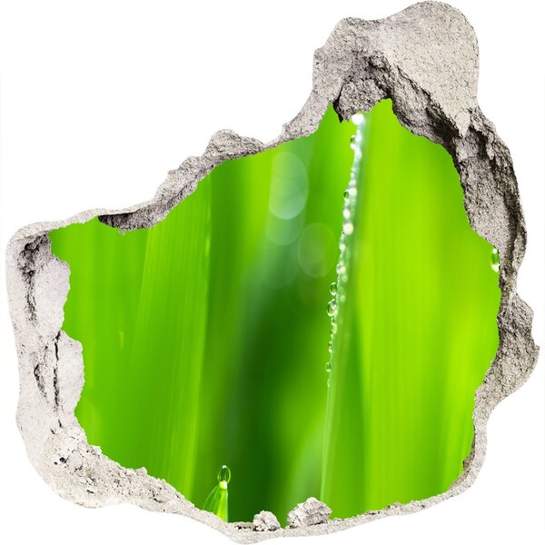 Hole in the wall sticker Green meadow with drops of water