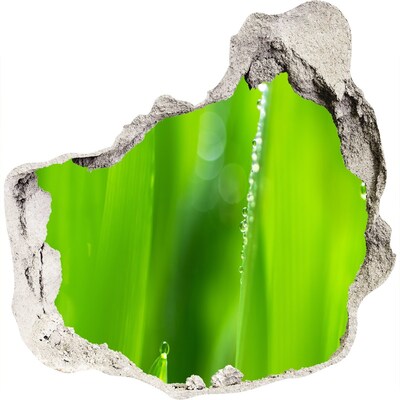 Hole in the wall sticker Green meadow with drops of water