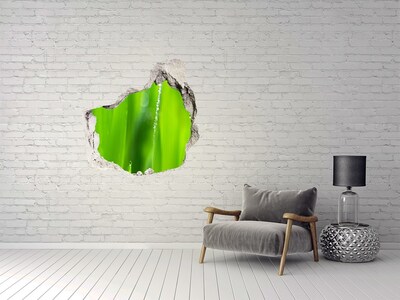 Hole in the wall sticker Green meadow with drops of water