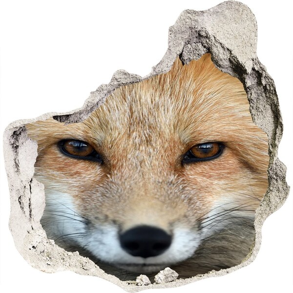 Hole in the wall sticker Fox