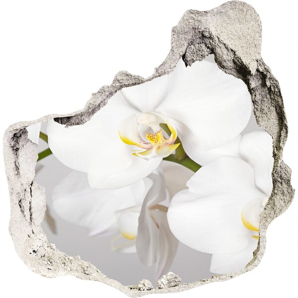 Hole wall sticker Orchid