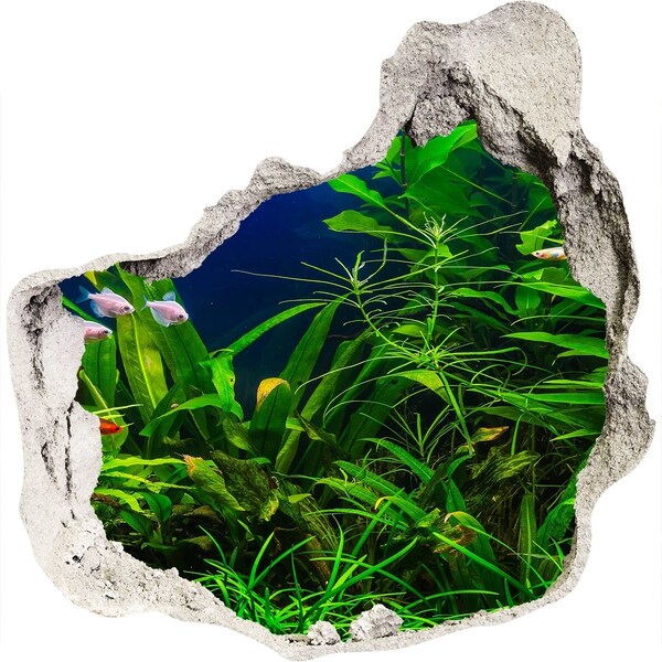 Hole wall sticker The underwater world in the aquarium