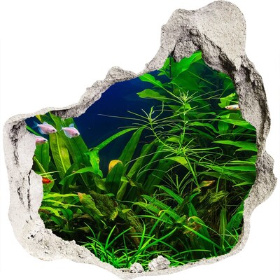 Hole wall sticker The underwater world in the aquarium