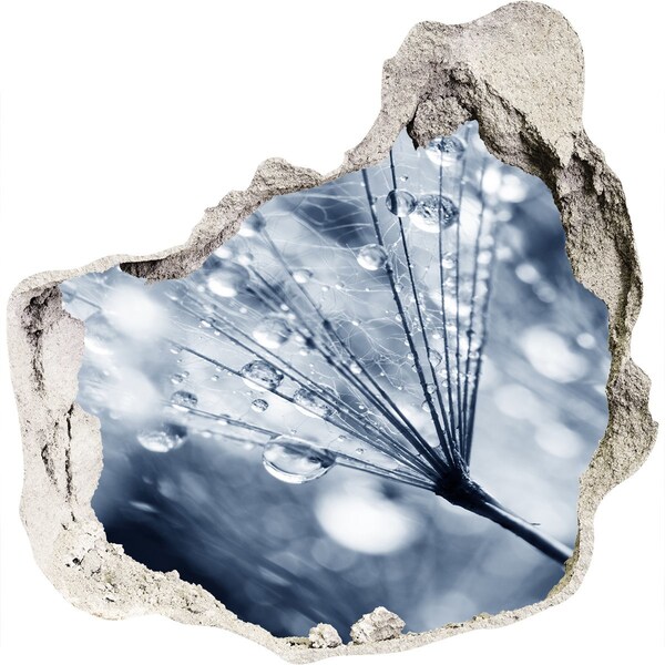 3D wall hole Dew drops on a dandelion