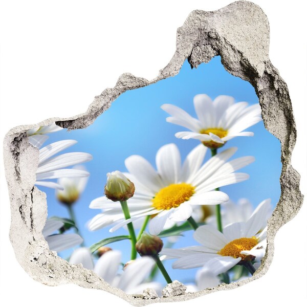 3D wall hole wallpaper Daisy