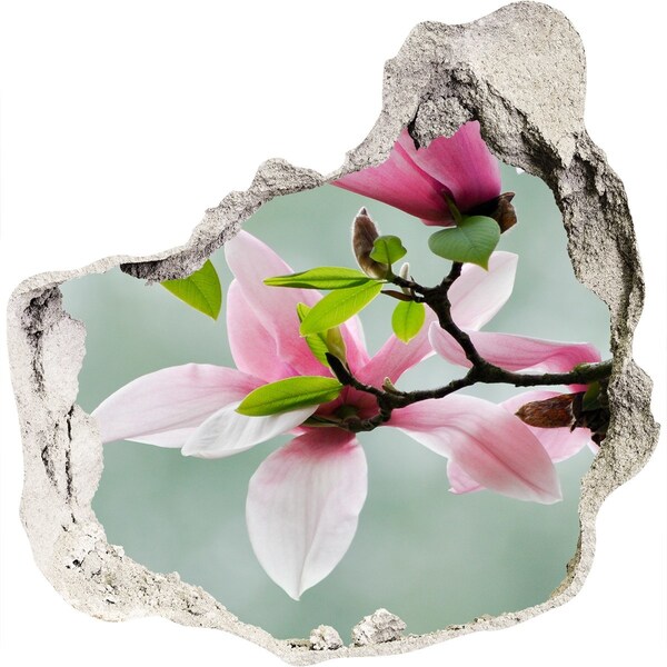 3D wall hole Magnolia