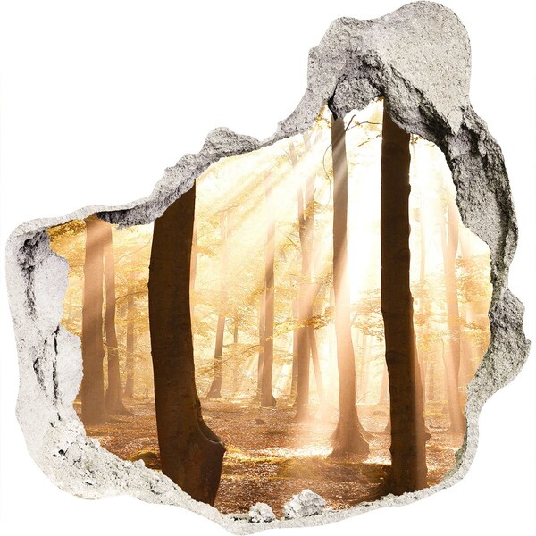 Hole in the wall decal Golden rays in the forest