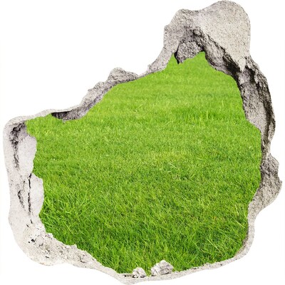 Hole in the wall sticker green grass