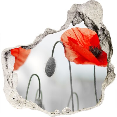 Hole in the wall sticker Flowers in a hole in the wall