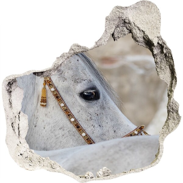 3D wall hole wallpaper A horse in an elegant bridle