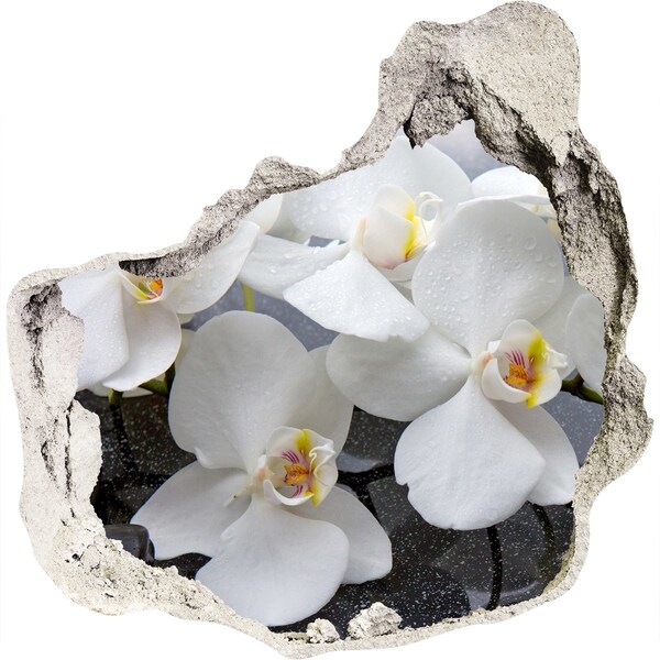 Hole in the wall decal Orchid flowers in water