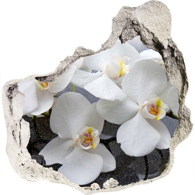 Hole in the wall decal Orchid flowers in water