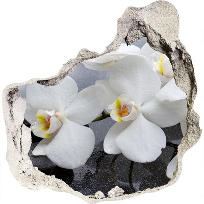 Hole in the wall decal Orchids in concrete