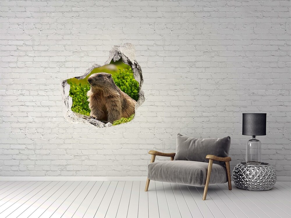 Hole in the wall sticker Tatra marmot