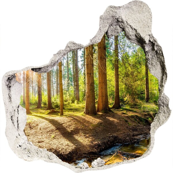 Hole in the wall decal Panorama of the forest