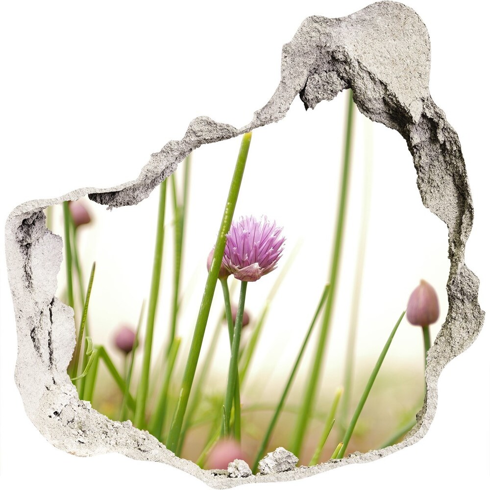 Hole in the wall sticker Chives