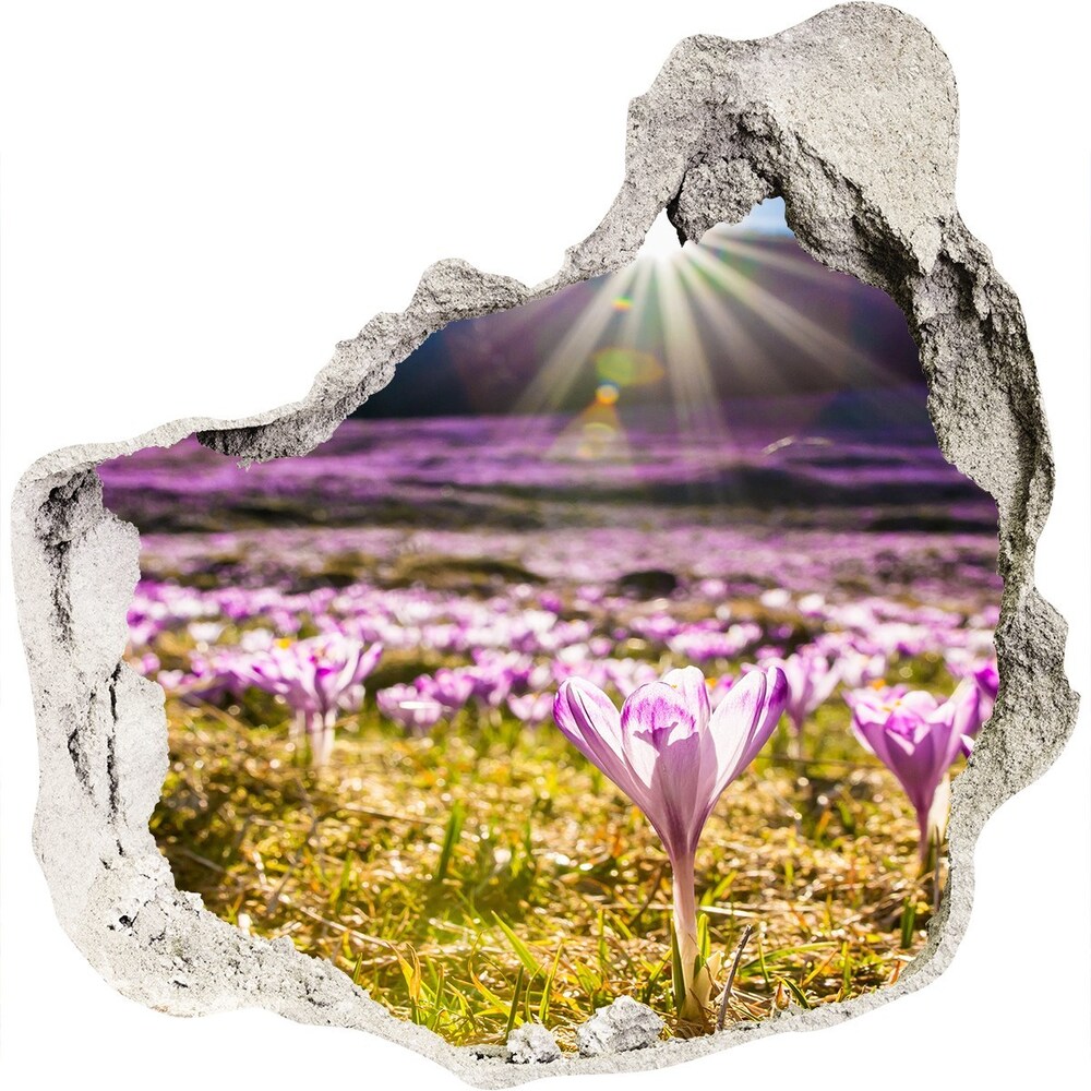 Hole in the wall decal Crocuses in the clearing