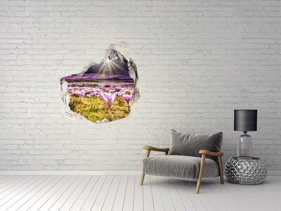 Hole in the wall decal Crocuses in the clearing