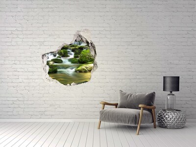 Hole wall sticker Waterfall in the green forest
