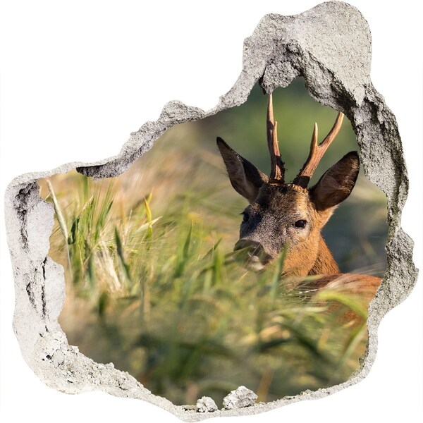 Hole in the wall decal Roe deer in a forest landscape